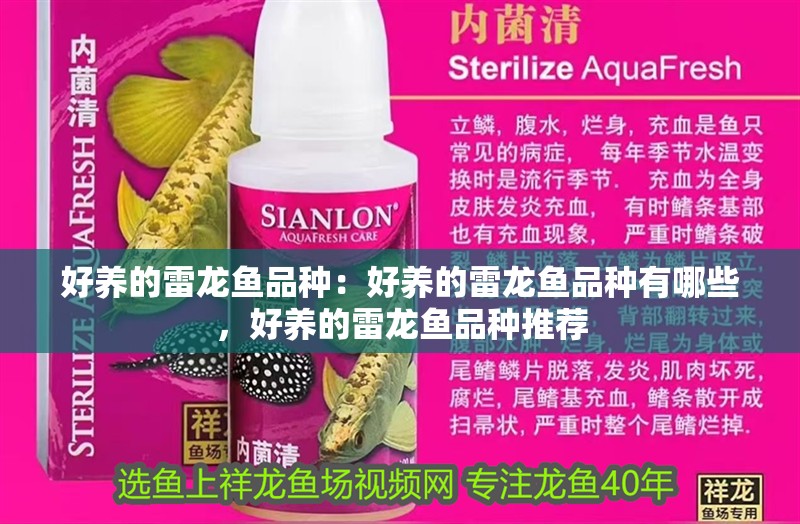 好養(yǎng)的雷龍魚品種：好養(yǎng)的雷龍魚品種有哪些，好養(yǎng)的雷龍魚品種推薦 好養(yǎng)的雷龍魚品種：好養(yǎng)的雷龍魚品種有哪些，好養(yǎng)的雷龍魚品種推薦 水族問答