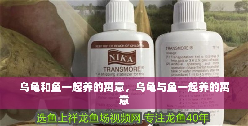 烏龜和魚一起養的寓意，烏龜與魚一起養的寓意