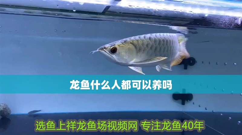 龍魚什么人都可以養嗎