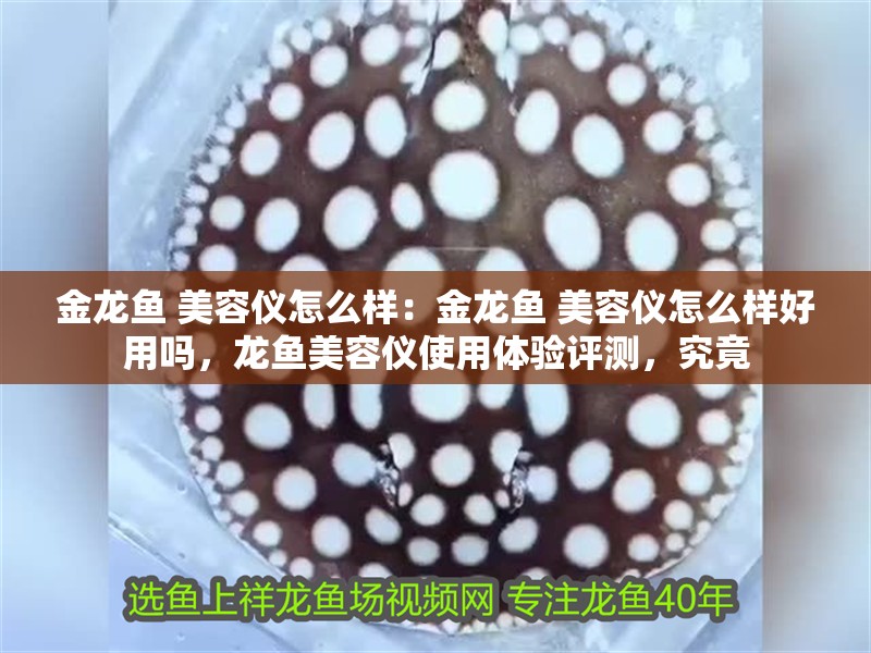 金龍魚 美容儀怎么樣：金龍魚 美容儀怎么樣好用嗎，龍魚美容儀使用體驗評測，究竟