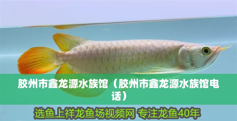 膠州市鑫龍源水族館(膠州市鑫龍源水族館電話) 全國水族館企業名錄 第2張 膠州市鑫龍源水族館(膠州市鑫龍源水族館電話) 膠州市鑫龍源水族館(膠州市鑫龍源水族館電話) 全國水族館企業名錄 第2張