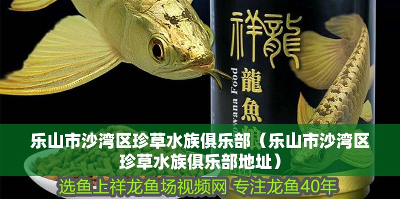樂山市沙灣區(qū)珍草水族俱樂部（樂山市沙灣區(qū)珍草水族俱樂部地址） 樂山市沙灣區(qū)珍草水族俱樂部（樂山市沙灣區(qū)珍草水族俱樂部地址） 全國水族館企業(yè)名錄 第2張