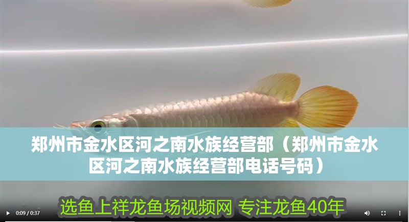 鄭州市金水區河之南水族經營部（鄭州市金水區河之南水族經營部電話號碼）