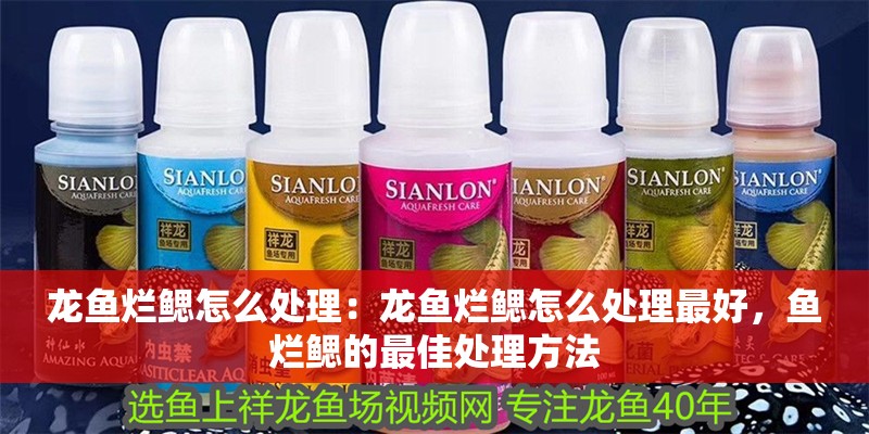 龍魚爛鰓怎么處理：龍魚爛鰓怎么處理最好，魚爛鰓的最佳處理方法