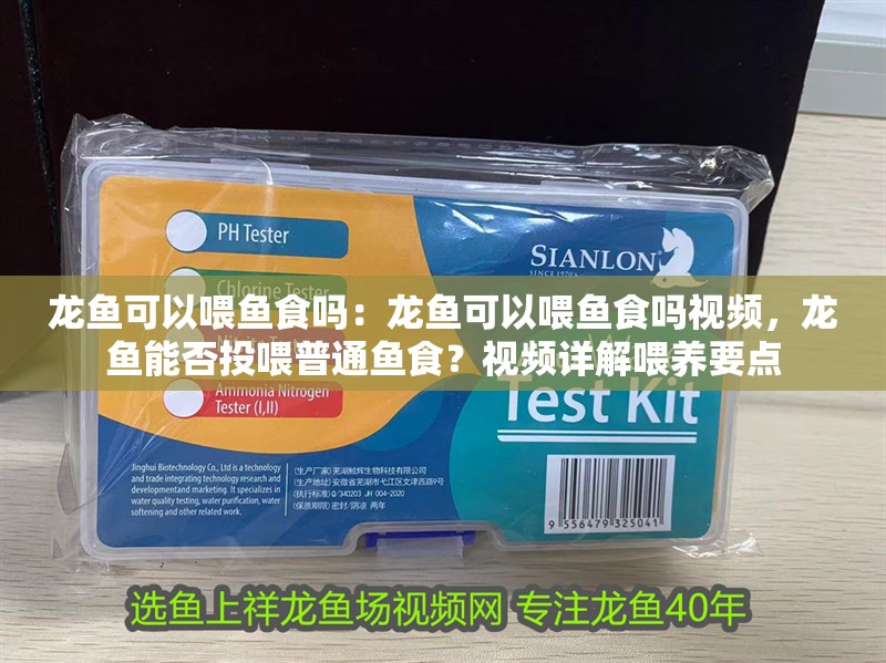 龍魚可以喂魚食嗎：龍魚可以喂魚食嗎視頻，龍魚能否投喂普通魚食？視頻詳解喂養要點