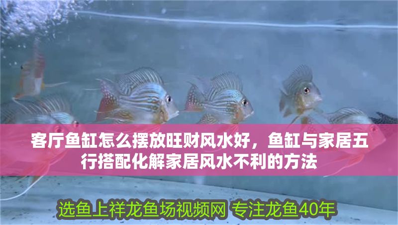 客廳魚缸怎么擺放旺財風水好，魚缸與家居五行搭配化解家居風水不利的方法