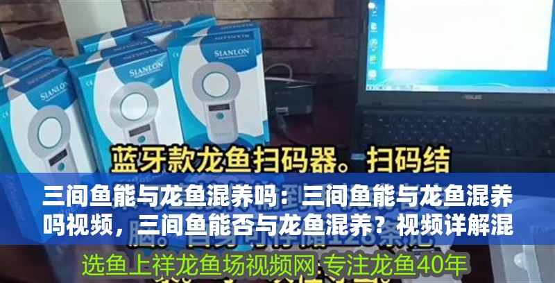 三間魚能與龍魚混養(yǎng)嗎：三間魚能與龍魚混養(yǎng)嗎視頻，三間魚能否與龍魚混養(yǎng)？視頻詳解混養(yǎng)