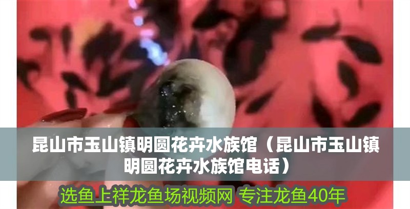 昆山市玉山鎮明圓花卉水族館（昆山市玉山鎮明圓花卉水族館電話）