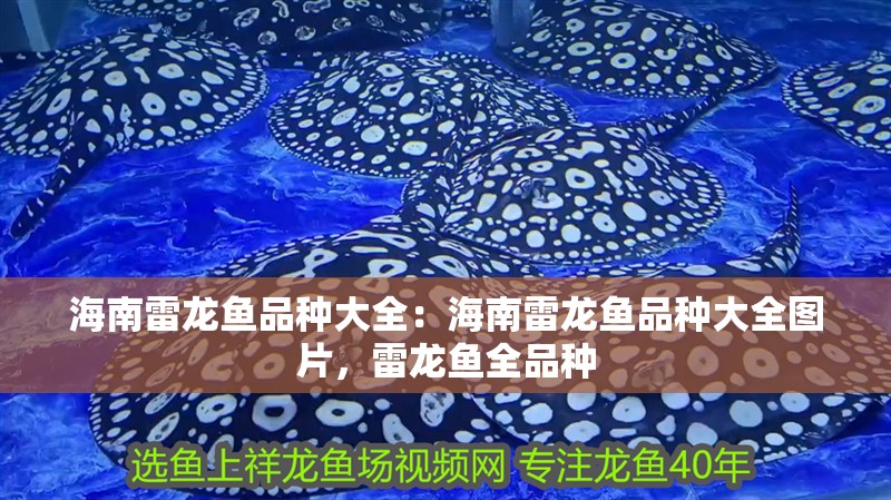 海南雷龍魚品種大全：海南雷龍魚品種大全圖片，雷龍魚全品種 海南雷龍魚品種大全：海南雷龍魚品種大全圖片，雷龍魚全品種 水族問答