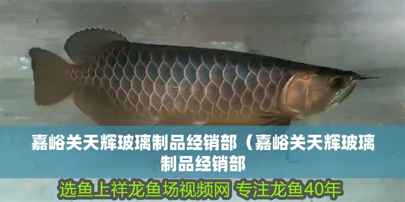 嘉峪關天輝玻璃制品經銷部（嘉峪關天輝玻璃制品經銷部