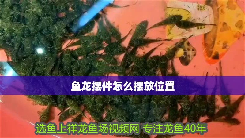 魚龍擺件怎么擺放位置