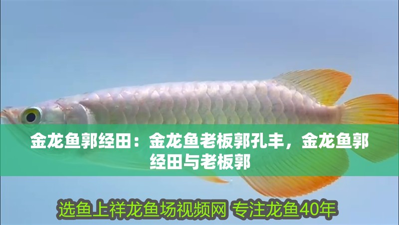 金龍魚郭經田：金龍魚老板郭孔豐，金龍魚郭經田與老板郭 金龍魚郭經田：金龍魚老板郭孔豐，金龍魚郭經田與老板郭 水族問答