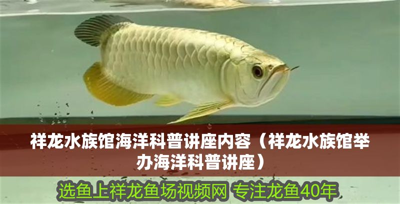 祥龍水族館海洋科普講座內(nèi)容（祥龍水族館舉辦海洋科普講座）