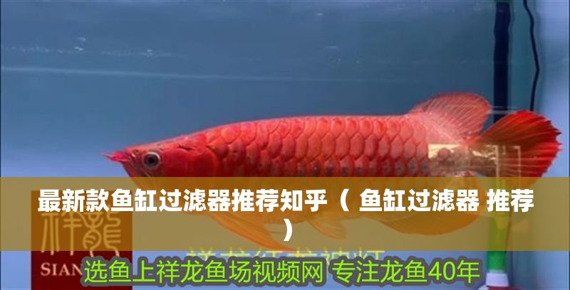 最新款魚缸過濾器推薦知乎（ 魚缸過濾器 推薦）