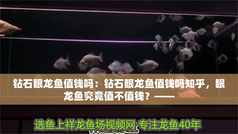 鉆石眼龍魚值錢嗎：鉆石眼龍魚值錢嗎知乎，眼龍魚究竟值不值錢？——