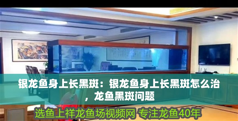 銀龍魚身上長黑斑：銀龍魚身上長黑斑怎么治，龍魚黑斑問題