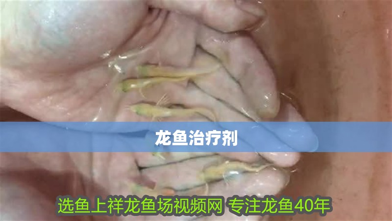 龍魚治療劑