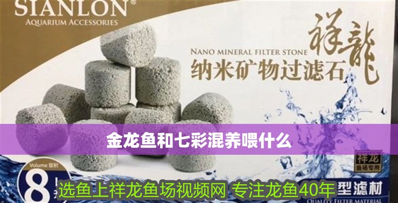 金龍魚和七彩混養(yǎng)喂什么