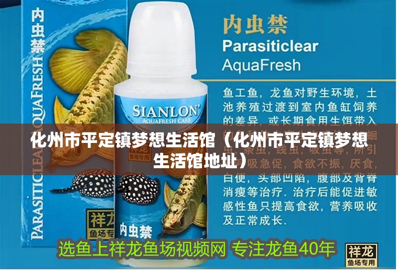 化州市平定鎮(zhèn)夢(mèng)想生活館（化州市平定鎮(zhèn)夢(mèng)想生活館地址） 化州市平定鎮(zhèn)夢(mèng)想生活館（化州市平定鎮(zhèn)夢(mèng)想生活館地址） 全國(guó)水族館企業(yè)名錄 第2張