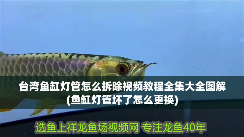 臺灣魚缸燈管怎么拆除視頻教程全集大全圖解(魚缸燈管壞了怎么更換)