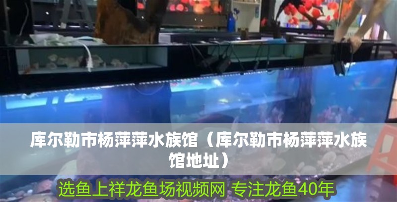 庫爾勒市楊萍萍水族館（庫爾勒市楊萍萍水族館地址）