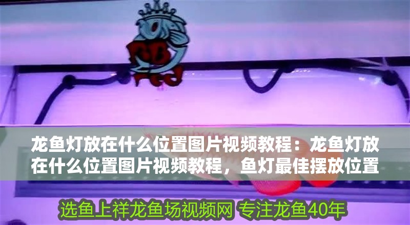 龍魚燈放在什么位置圖片視頻教程：龍魚燈放在什么位置圖片視頻教程，魚燈最佳擺放位置 龍魚燈放在什么位置圖片視頻教程：龍魚燈放在什么位置圖片視頻教程，魚燈最佳擺放位置 水族問答