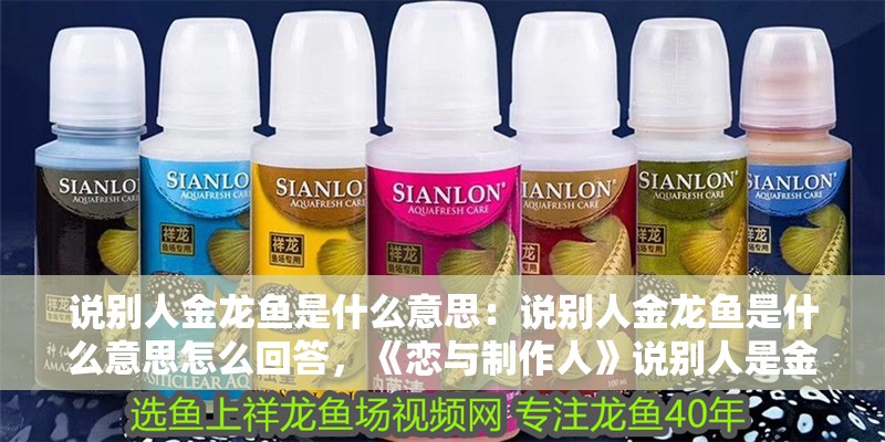 說別人金龍魚是什么意思：說別人金龍魚是什么意思怎么回答，《戀與制作人》說別人是金龍魚究竟有什么寓意