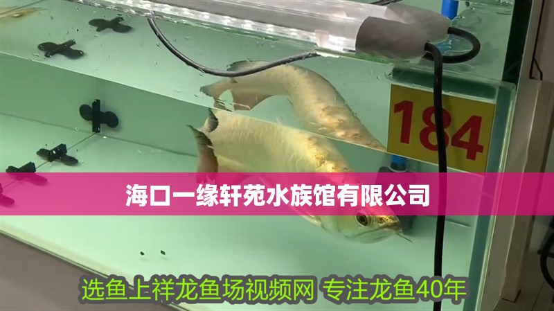 海口一緣軒苑水族館有限公司