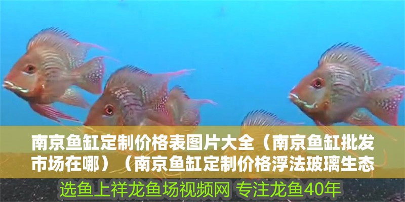 南京魚缸定制價格表圖片大全（南京魚缸批發(fā)市場在哪）（南京魚缸定制價格浮法玻璃生態(tài)魚缸價格在500元左右）