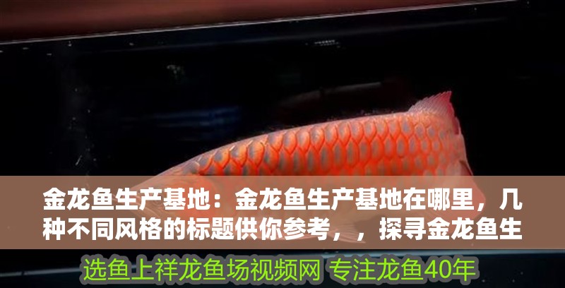 金龍魚生產基地：金龍魚生產基地在哪里，幾種不同風格的標題供你參考，，探尋金龍魚生產基地究竟位于何處，揭秘！金龍魚生產基地的具體位置在哪，聚焦，金龍