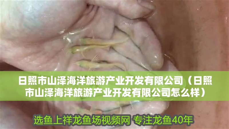 日照市山澤海洋旅游產業開發有限公司（日照市山澤海洋旅游產業開發有限公司怎么樣）
