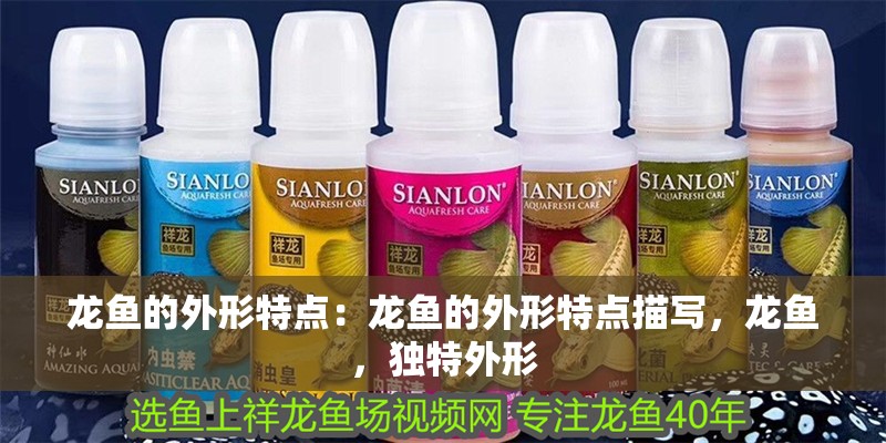 龍魚的外形特點：龍魚的外形特點描寫，龍魚，獨特外形