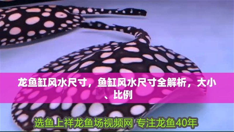 龍魚缸風水尺寸，魚缸風水尺寸全解析，大小、比例