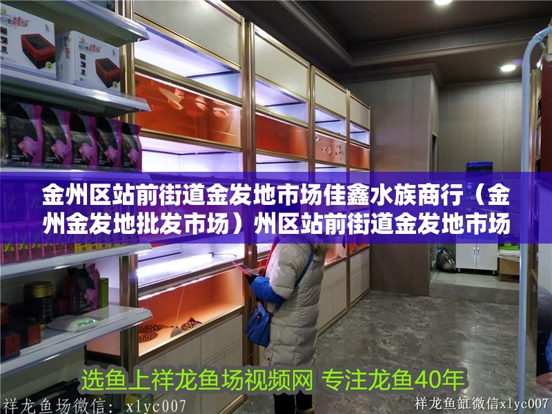 金州區(qū)站前街道金發(fā)地市場(chǎng)佳鑫水族商行（金州金發(fā)地批發(fā)市場(chǎng)）州區(qū)站前街道金發(fā)地市場(chǎng)佳鑫水族商行（金州金發(fā) 金州區(qū)站前街道金發(fā)地市場(chǎng)佳鑫水族商行（金州金發(fā)地批發(fā)市場(chǎng)）州區(qū)站前街道金發(fā)地市場(chǎng)佳鑫水族商行（金州金發(fā) 全國(guó)水族館企業(yè)名錄 第2張