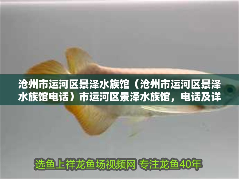 滄州市運河區景澤水族館（滄州市運河區景澤水族館電話）市運河區景澤水族館，電話及詳細信息全知曉
