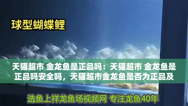 天貓超市 金龍魚是正品嗎：天貓超市 金龍魚是正品嗎安全嗎，天貓超市金龍魚是否為正品及