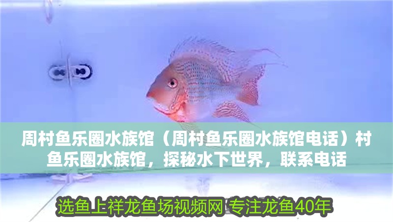 周村魚樂圈水族館（周村魚樂圈水族館電話）村魚樂圈水族館，探秘水下世界，聯系電話
