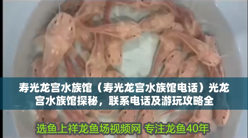 壽光龍宮水族館（壽光龍宮水族館電話）光龍宮水族館探秘，聯(lián)系電話及游玩攻略全