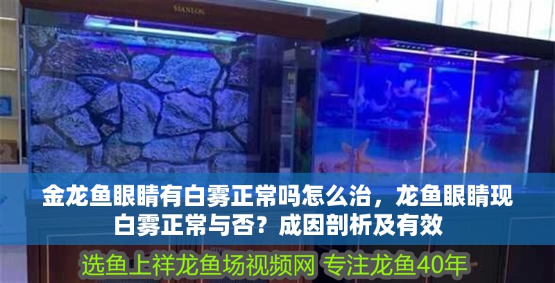 金龍魚眼睛有白霧正常嗎怎么治，龍魚眼睛現白霧正常與否？成因剖析及有效