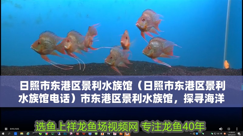 日照市東港區(qū)景利水族館（日照市東港區(qū)景利水族館電話）市東港區(qū)景利水族館，探尋海洋奧秘，暢享水族奇觀