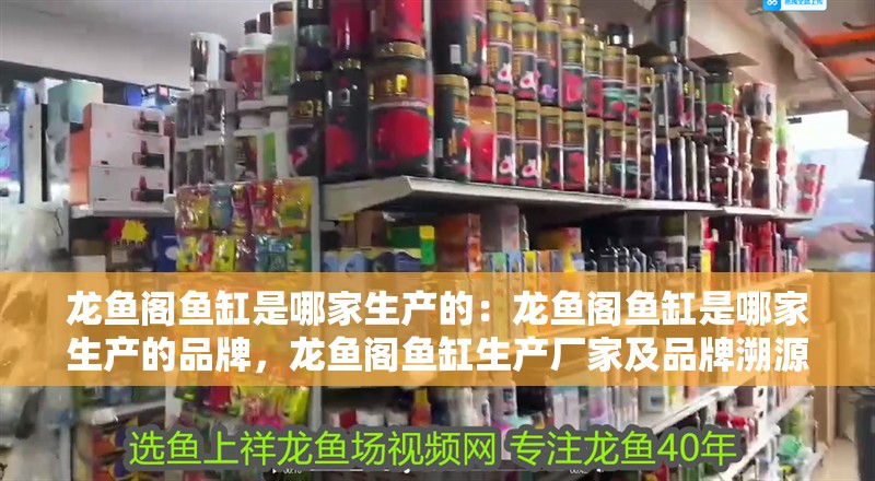 龍魚閣魚缸是哪家生產的：龍魚閣魚缸是哪家生產的品牌，龍魚閣魚缸生產廠家及品牌溯源