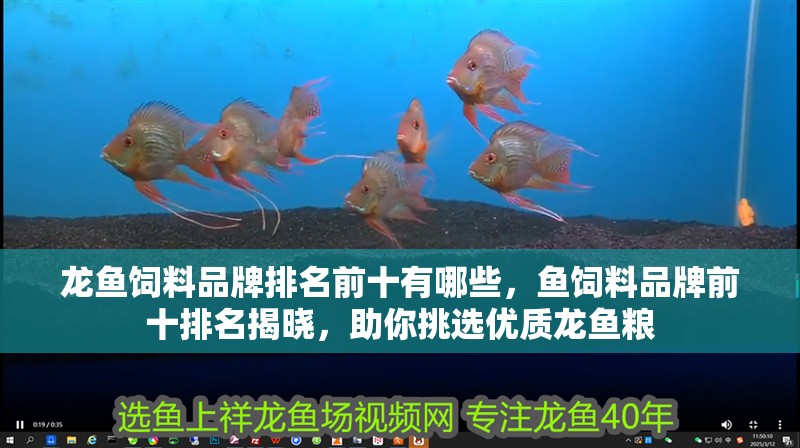 龍魚飼料品牌排名前十有哪些，魚飼料品牌前十排名揭曉，助你挑選優質龍魚糧