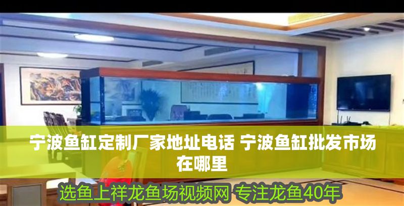 寧波魚缸定制廠家地址電話 寧波魚缸批發市場在哪里