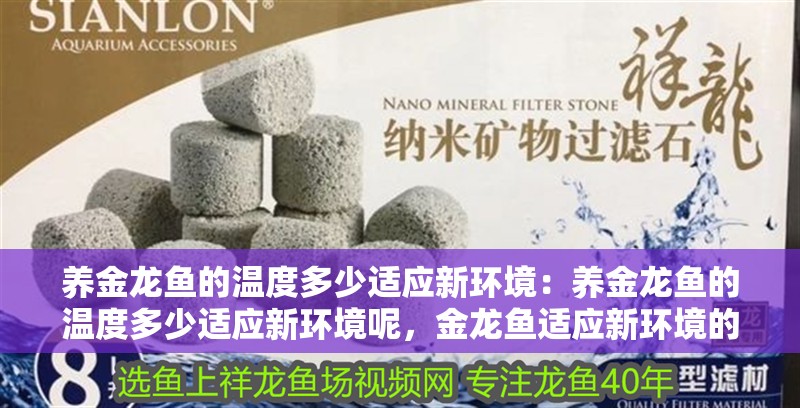 養金龍魚的溫度多少適應新環境：養金龍魚的溫度多少適應新環境呢，金龍魚適應新環境的溫度要求