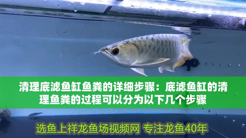 清理底濾魚缸魚糞的詳細步驟：底濾魚缸的清理魚糞的過程可以分為以下幾個步驟 清理底濾魚缸魚糞的詳細步驟：底濾魚缸的清理魚糞的過程可以分為以下幾個步驟 魚缸百科