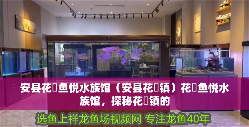 安縣花荄魚悅水族館（安縣花荄鎮）花荄魚悅水族館，探秘花荄鎮的