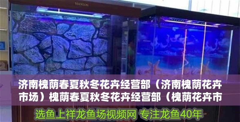 濟南槐蔭春夏秋冬花卉經營部（濟南槐蔭花卉市場）槐蔭春夏秋冬花卉經營部（槐蔭花卉市場），花卉 濟南槐蔭春夏秋冬花卉經營部（濟南槐蔭花卉市場）槐蔭春夏秋冬花卉經營部（槐蔭花卉市場），花卉 全國水族館企業名錄 第2張