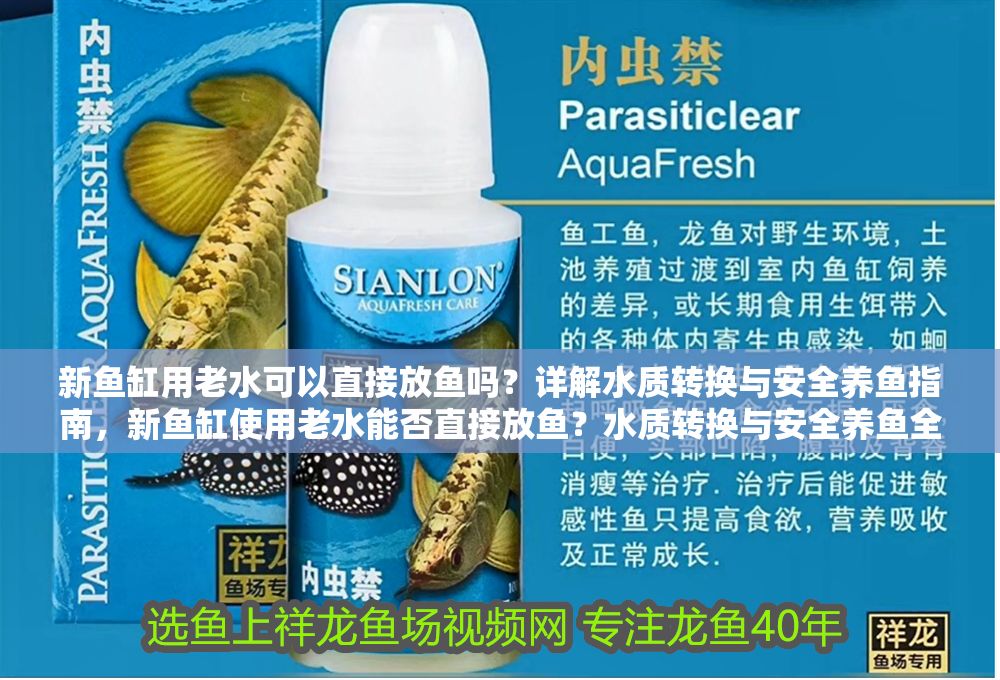 新魚缸用老水可以直接放魚嗎？詳解水質(zhì)轉(zhuǎn)換與安全養(yǎng)魚指南，新魚缸使用老水能否直接放魚？水質(zhì)轉(zhuǎn)換與安全養(yǎng)魚全解析 新魚缸用老水可以直接放魚嗎？詳解水質(zhì)轉(zhuǎn)換與安全養(yǎng)魚指南，新魚缸使用老水能否直接放魚？水質(zhì)轉(zhuǎn)換與安全養(yǎng)魚全解析 龍魚百科 第1張