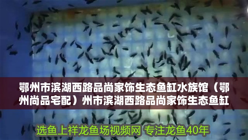 鄂州市濱湖西路品尚家飾生態魚缸水族館（鄂州尚品宅配）州市濱湖西路品尚家飾生態魚缸水族館（鄂州尚品宅配