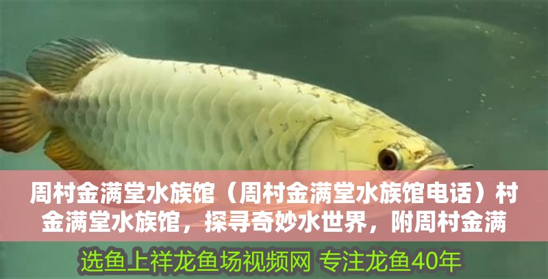 周村金滿堂水族館（周村金滿堂水族館電話）村金滿堂水族館，探尋奇妙水世界，附周村金滿堂水